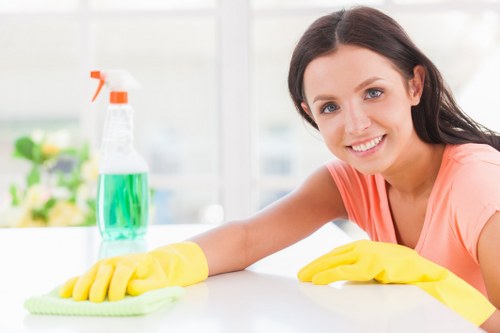 Professional mattress cleaning for a Pimlico home bedroom