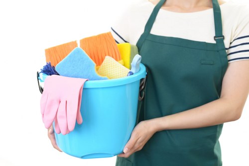 Professional sofa upholstery cleaning in Pimlico living room