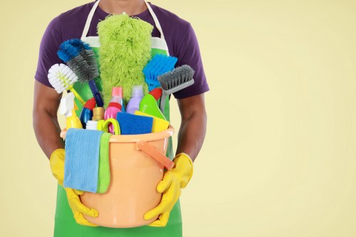 Bathroom and living area move out cleaning in central London