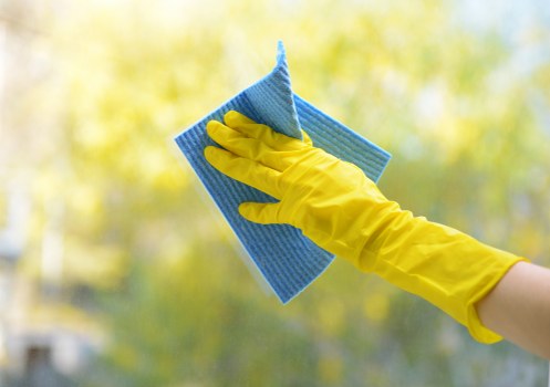 Professional window cleaning for Pimlico residential properties