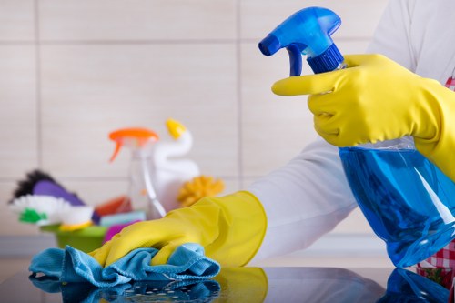 Professional end of tenancy cleaning for a Pimlico apartment interior