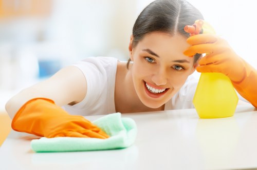 Kitchen deep clean during a Pimlico tenancy move-out service