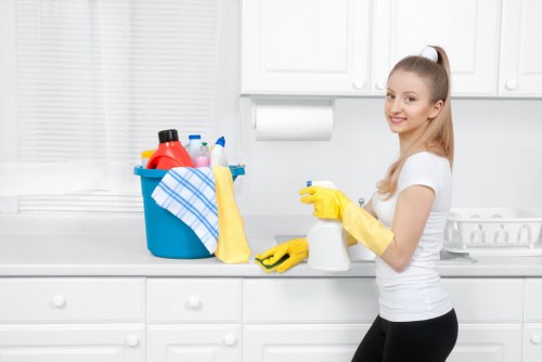 Reliable house cleaning service for central London homes
