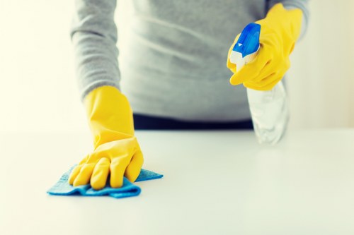 Professional cleaners maintaining a Pimlico office kitchen and shared workspace