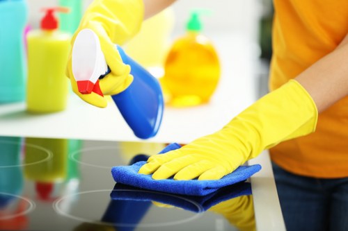 Commercial window cleaning for shops and offices in Pimlico