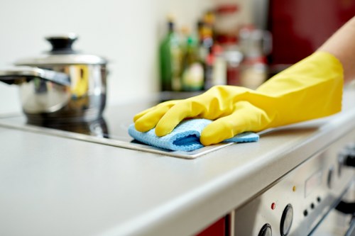 Deep cleaning a bathroom in a Pimlico property