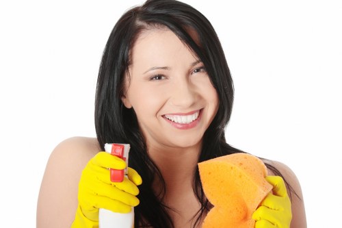 Checklist and preparation for regular cleaning in Pimlico homes