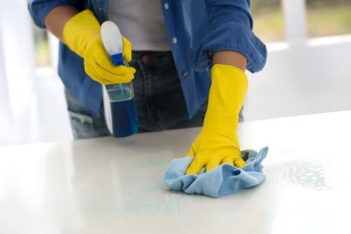 Local cleaners working in a Pimlico apartment building