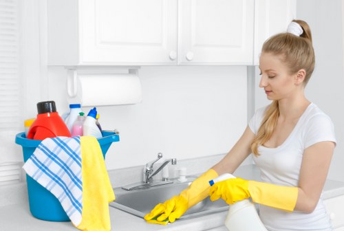 Bin store and shared access area cleaning for a Pimlico building