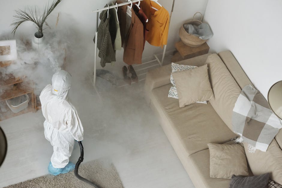A person in full protective personal equipment, including a white hazmat suit, gloves, and face mask, is using a high-powered cleaning device to treat a beige fabric sofa in a living room. The room features a light-colored wooden floor, a beige sofa with multiple cushions, and a small side table with a basket and some items on top. A white clothes rail with hanging garments and a potted plant are visible in the background, along with a wooden shelf and a framed picture on the wall. The scene is well-lit, highlighting the advanced cleaning process aimed at stain and odour removal following short let rentals, with visible steam or fog from the device dispersing around the sofa, illustrating deep cleaning and sanitisation services provided by Pimlico Cleaner.