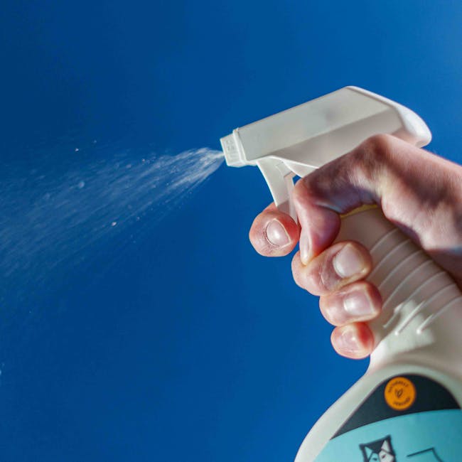 Close-up of a person's hand holding a white plastic spray bottle aimed at a blue wall, releasing a fine mist of cleaning solution. The hand grips the trigger firmly, fingers wrapped around the handle, with visible nails and skin texture. The spray bottle is partially visible, transparent at the top with a white nozzle, and features a label with an orange icon. The background consists of a smooth, painted blue wall, with even lighting highlighting the spray and the hand. This image visually represents surface cleaning and sanitisation, emphasizing detailed hand movements and professional cleaning tools, suitable for content about stain and odour removal services in residential or commercial spaces, as provided by Pimlico Cleaner.